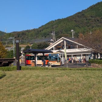 朝の大倉☀️
連休なので、登山者はかなり多かったです✨