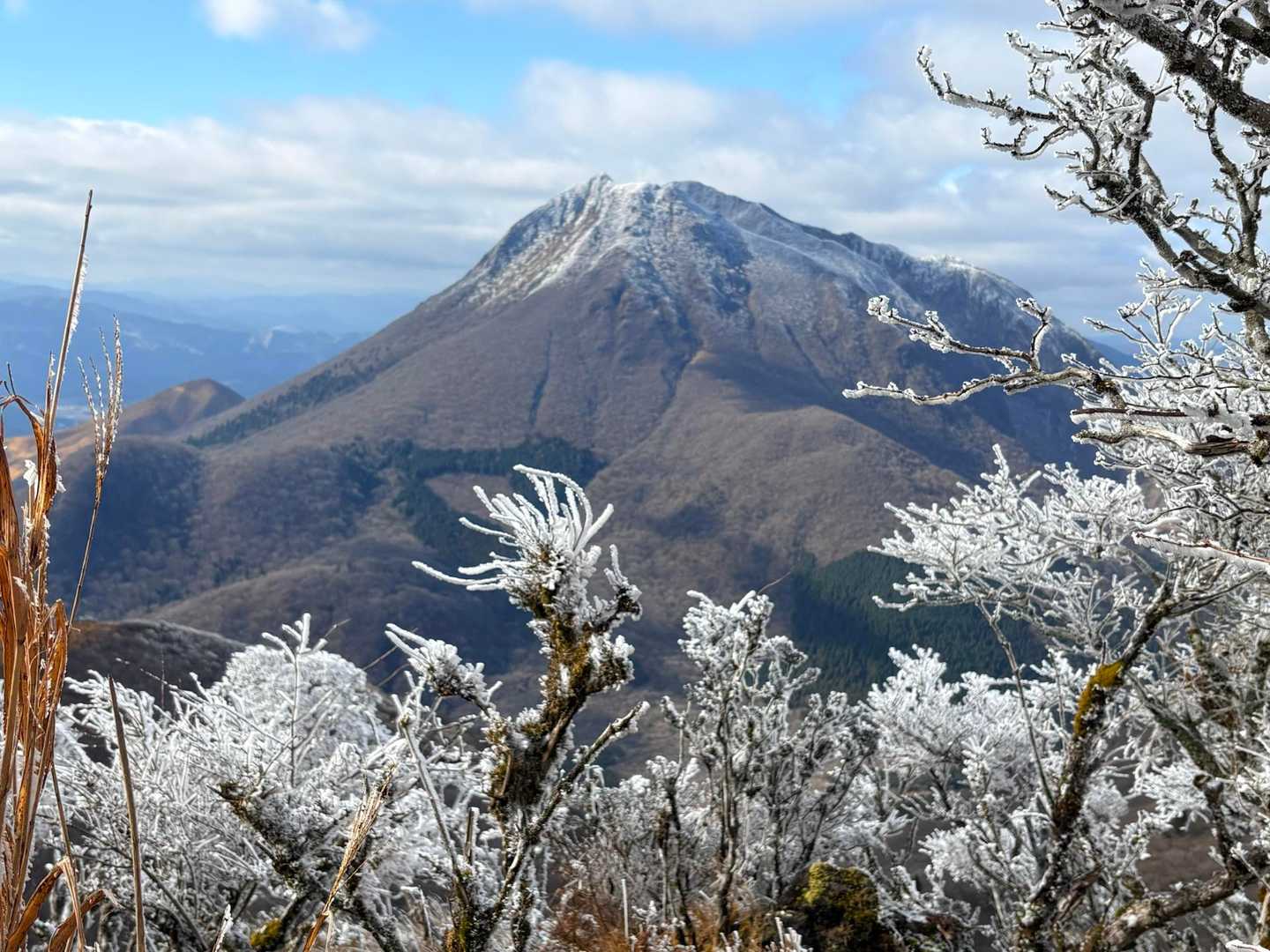 霧氷添え❄️
