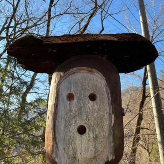 今日は日向山です