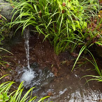 竜門ダムの🅿️の隅にジャボジャボと音がしてます。
ずーっと聴いていたい様な色んな水音👌