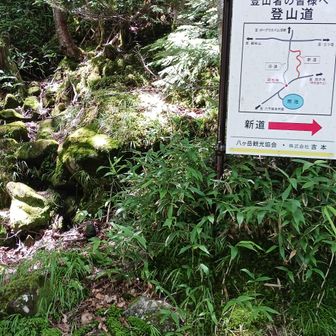 旧道下りきったところ