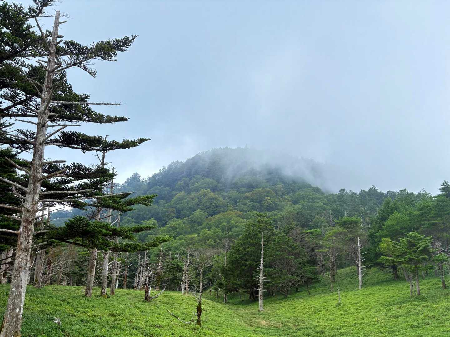 丸笹山⛰️
　山頂ガスってませんよーに🙏