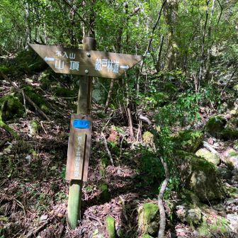 横掛道分岐　山頂へ向かう