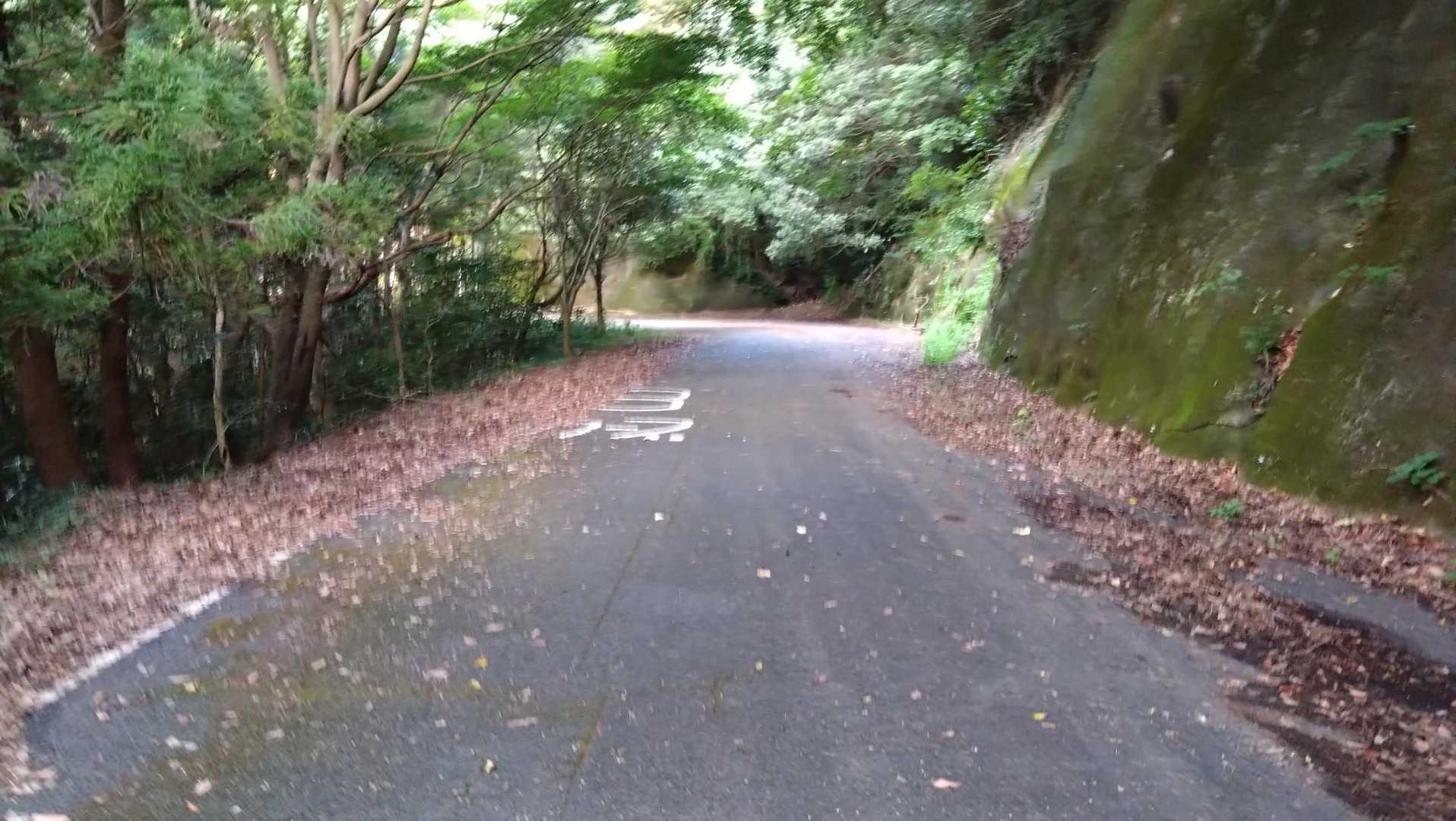 ダムを反時計回りで登山口を目指す
地味に長い