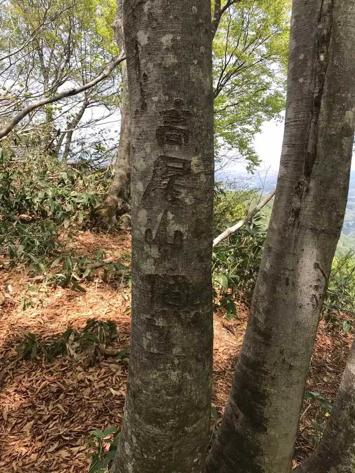 高尾山（石川県）の写真