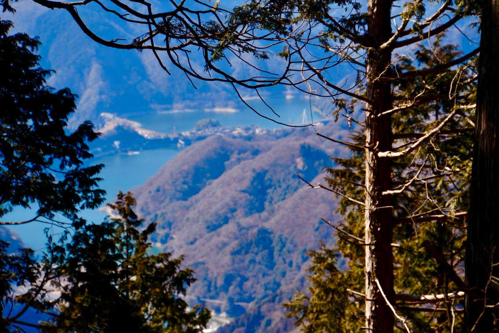 雨山峠-雨山-檜岳-伊勢沢ノ頭-秦野峠-林道秦野峠 周回コースの写真