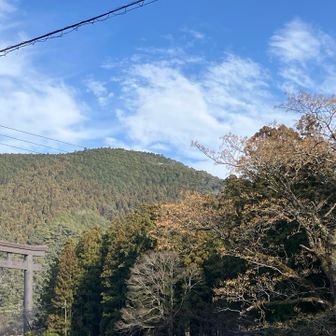 上から見てた大鳥居