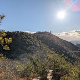 長尾奥山頂にて①：高御位山振り返り