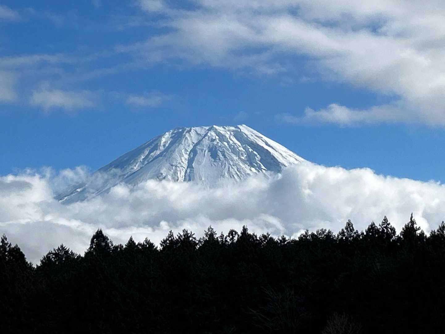 🙌🗻🙌

めちゃいい🤩
大沢崩れもくっきり