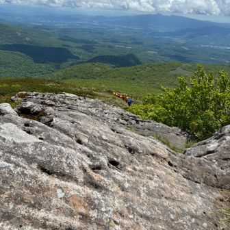山岳遭難救助隊の方々が訓練で来てました