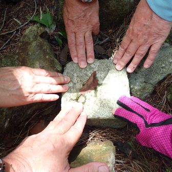 標高565ｍ　金剛童子山　山頂標識見当たらず、三等三角点タッチ


