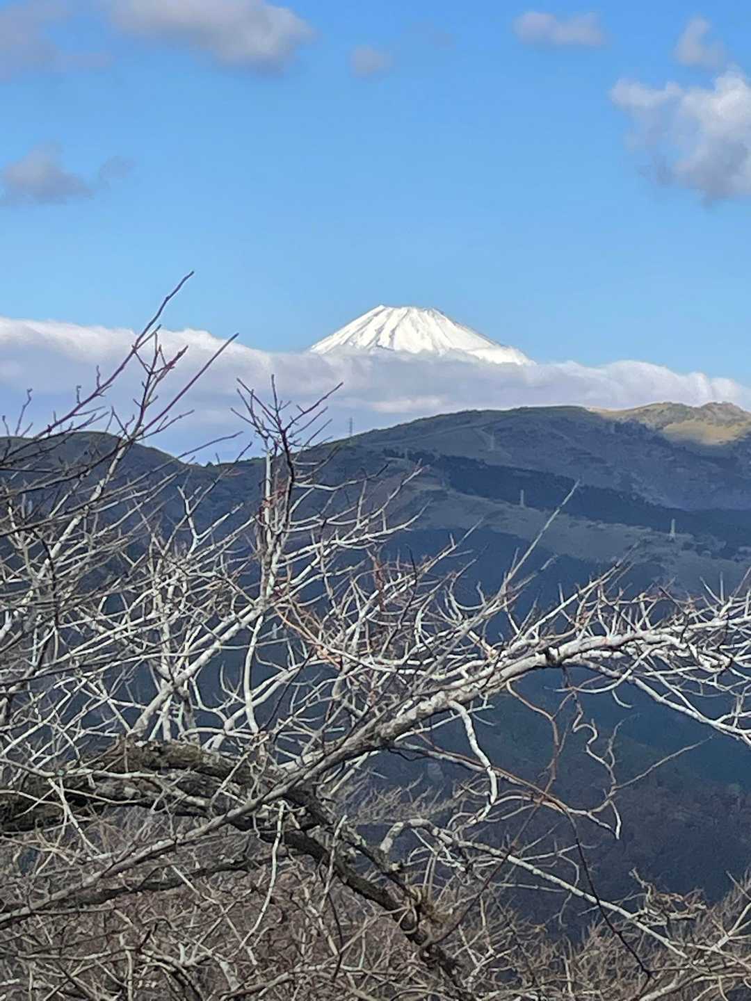 ここでは富士山が頭を覗かせてくれていました。