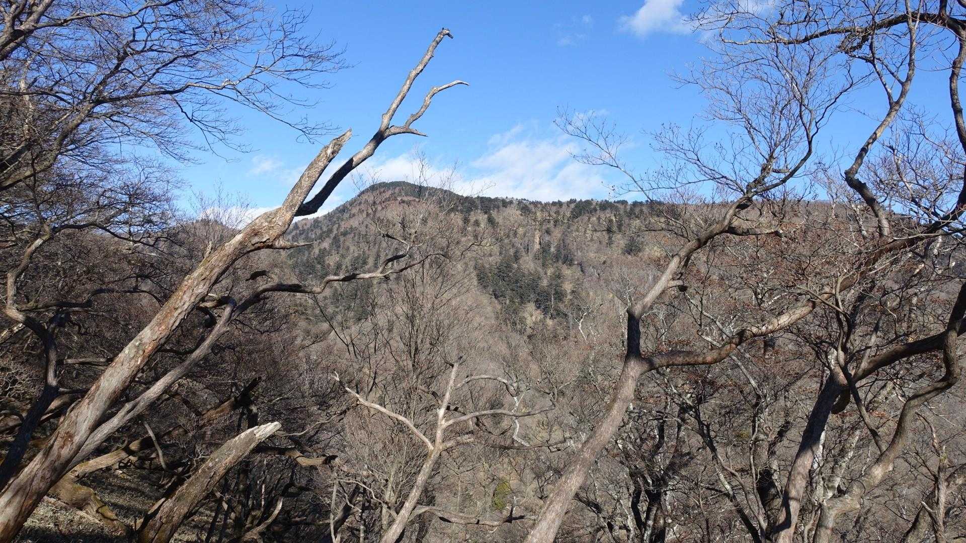 右手に八海山も見えて来ました。