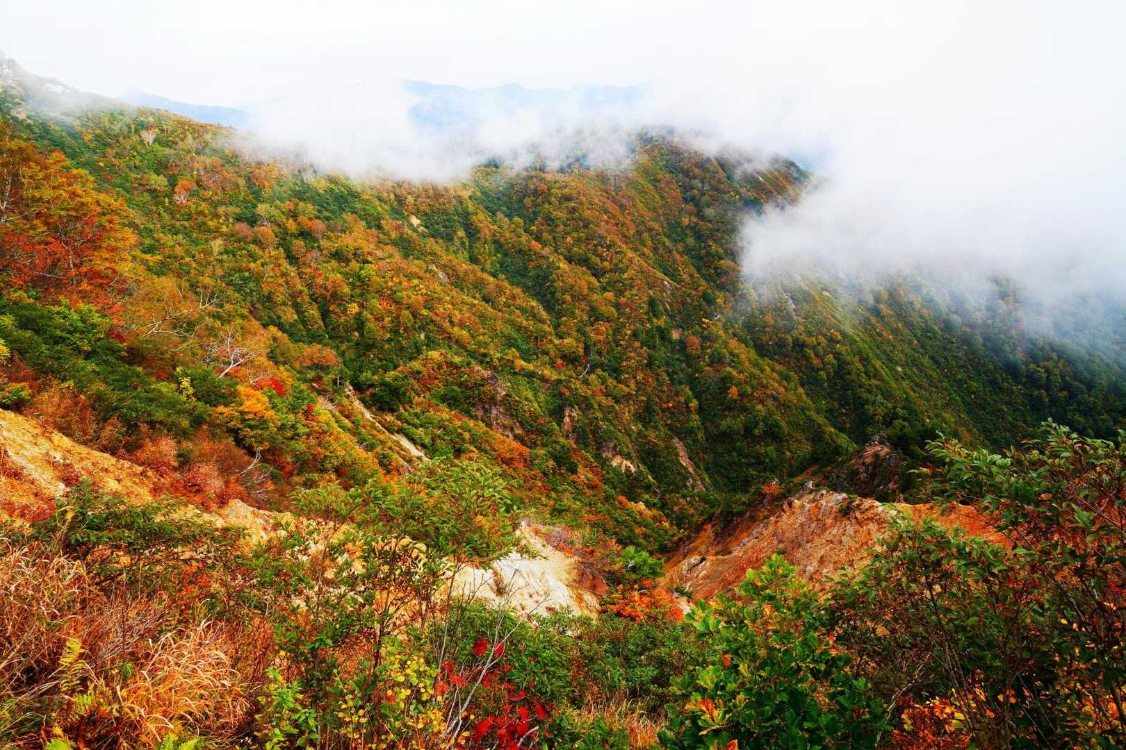 ガスの隙間からの紅葉🍁も最高です！