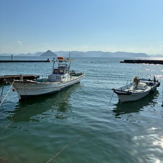 海面が上昇してる