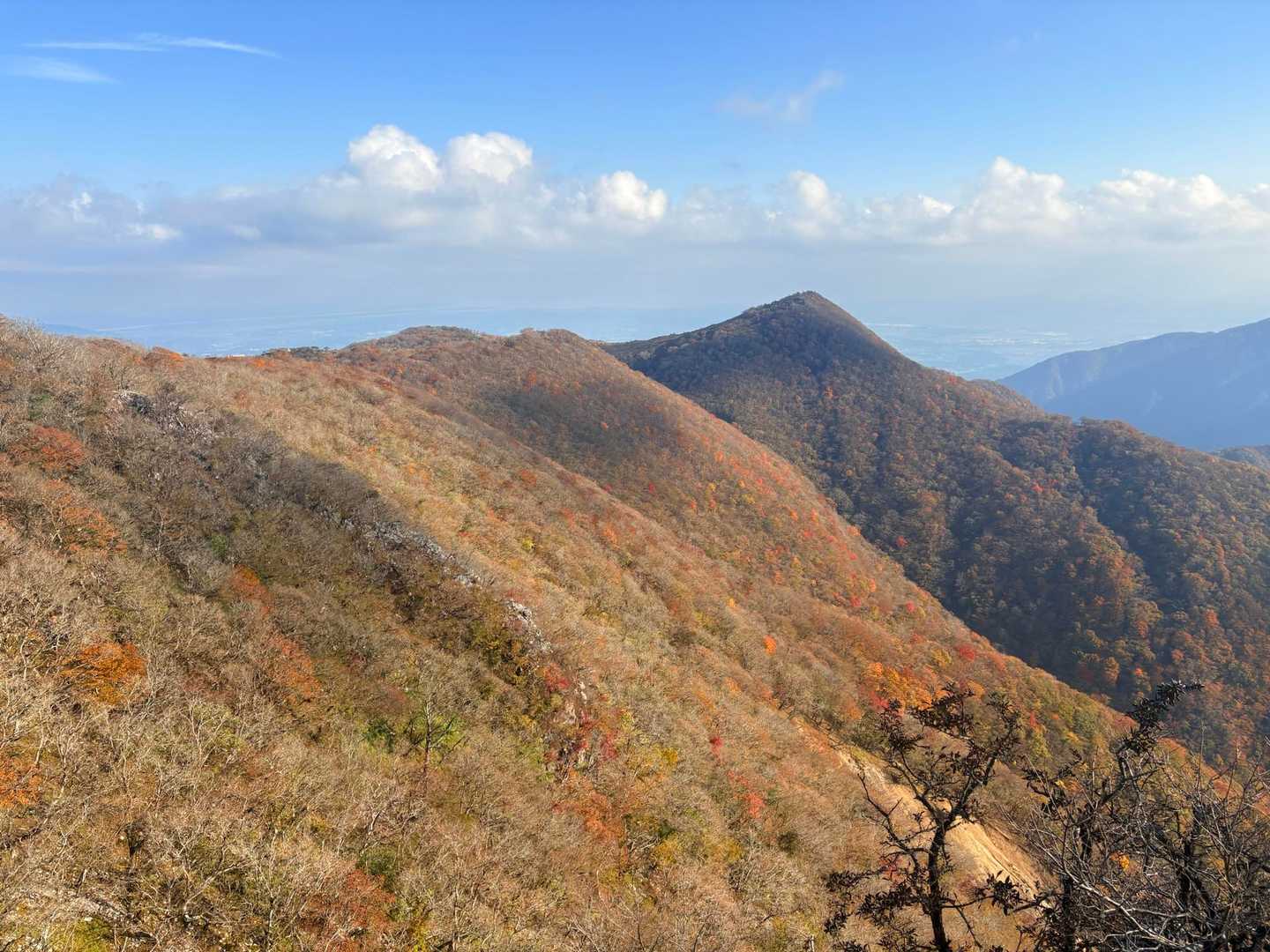 藤原岳