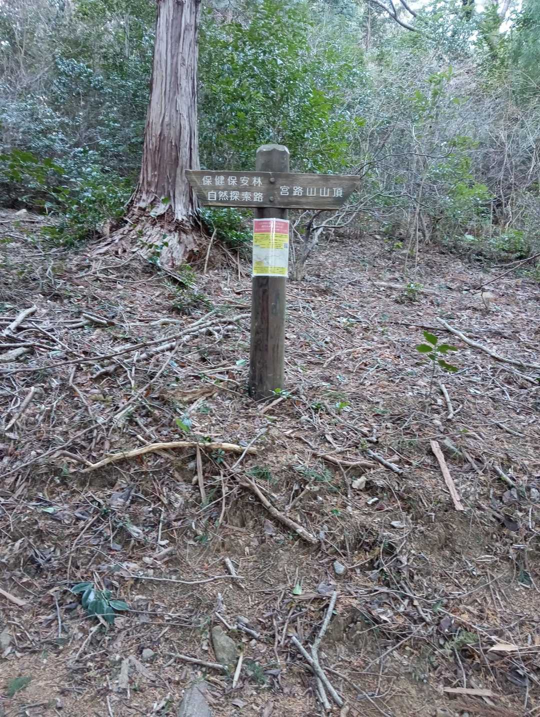 宮路山へ。