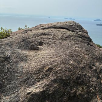 たいこ岩

一部叩くと、中が空洞？みたいな音がした。
一度切断か何かして、中身確認したい