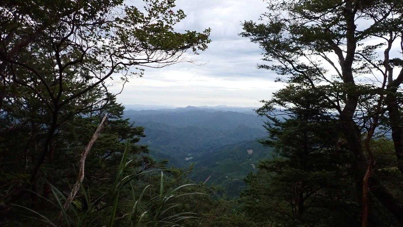 大分県側は見えている。