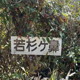 ここは必ず