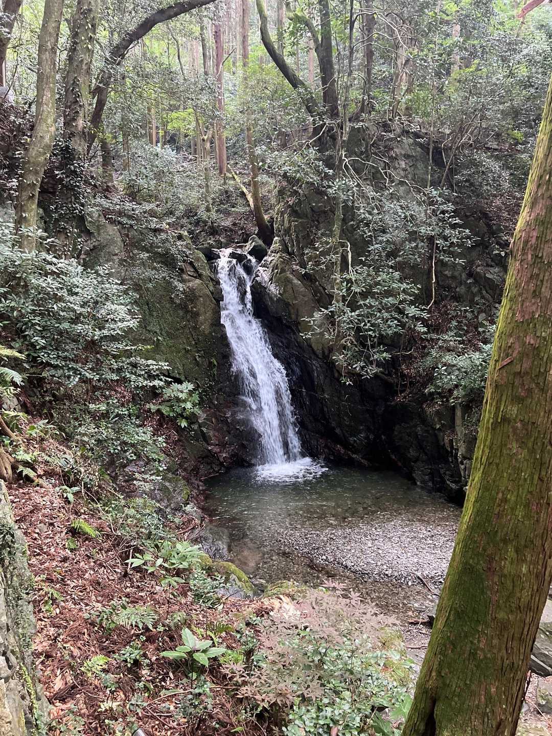 もう滝が✨