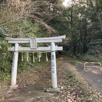 ここからスタート