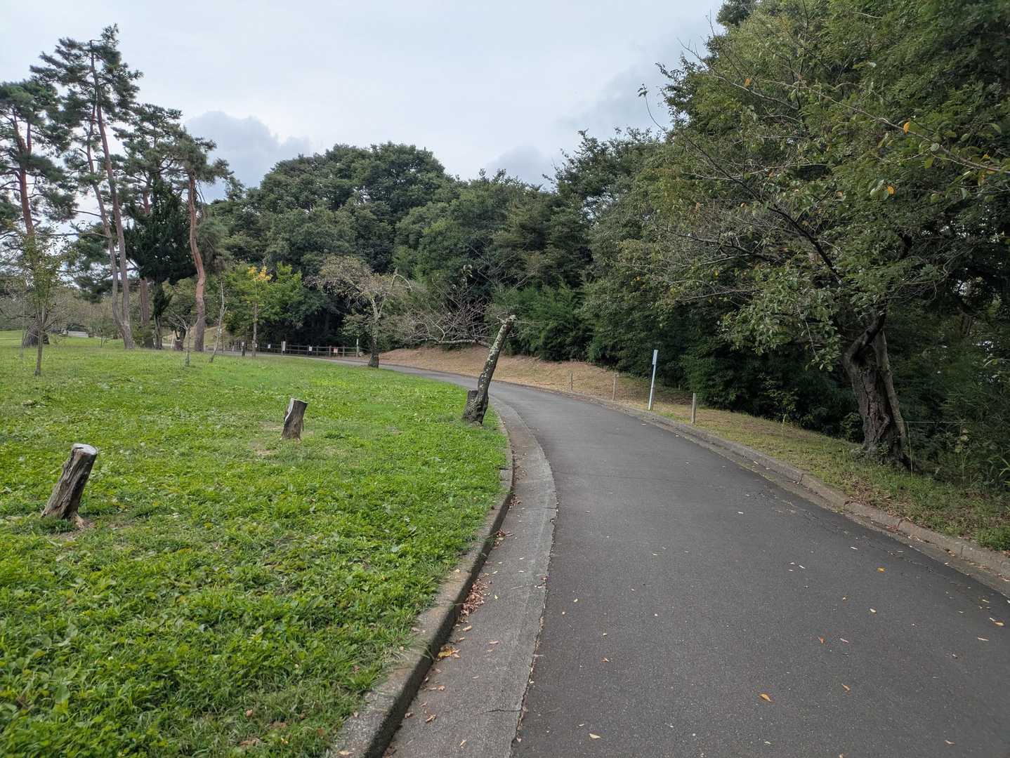 犬甘城山へ
舗装路をテクテク🚶