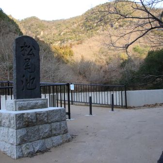 松野池と記されているけどよくわからなかったね😮‍💨