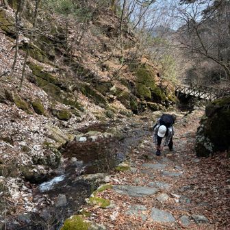 いきなり無言で止まると心配されます。

靴紐を直している。→1番
お水を飲みます。→２番

とか暗号でも作る？と提案しましたが
周りに敵がいる訳では無いので必要無しとの事😀