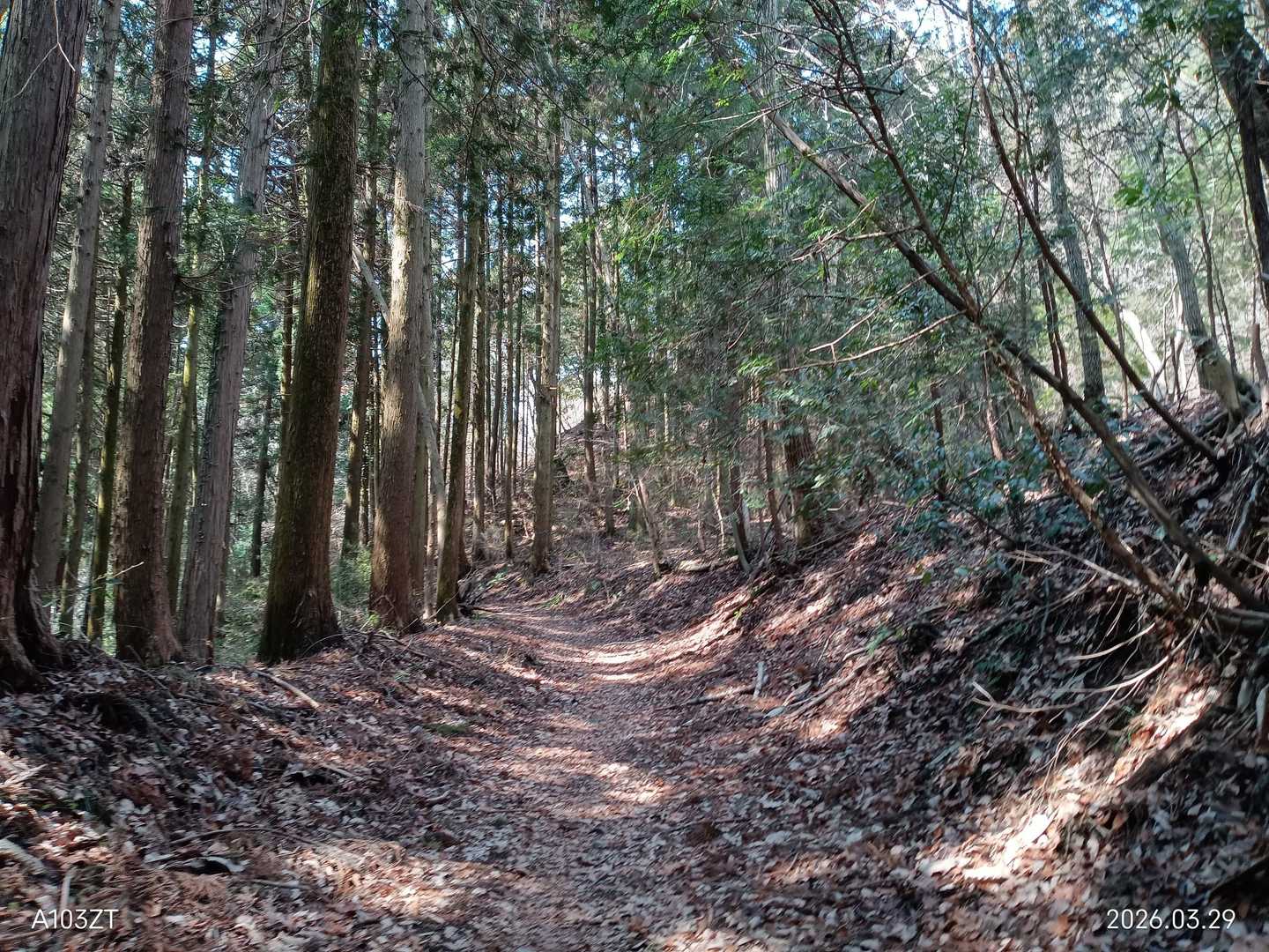 峠越えの昔道をゆったりと登ります。