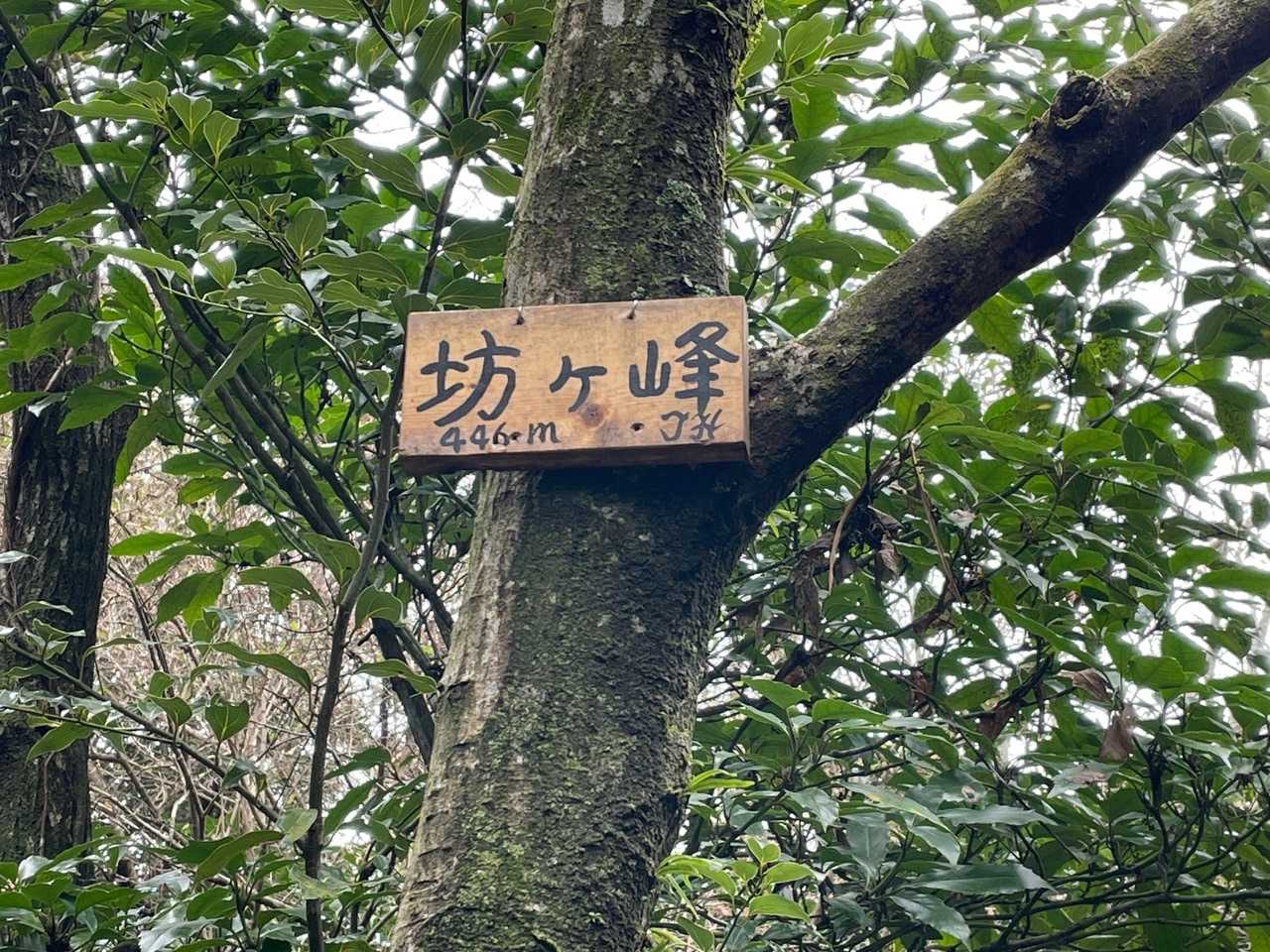その裏手に山頂標識