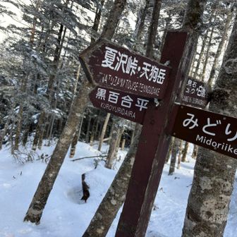 黒百合ヒュッテに行きますわよ！