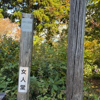 山は走りやすい♪