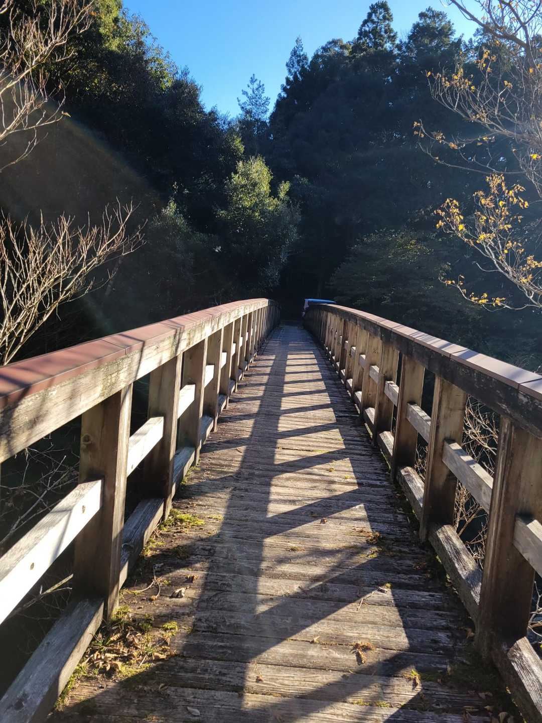 一族山-一族山登山口 周回コースの写真