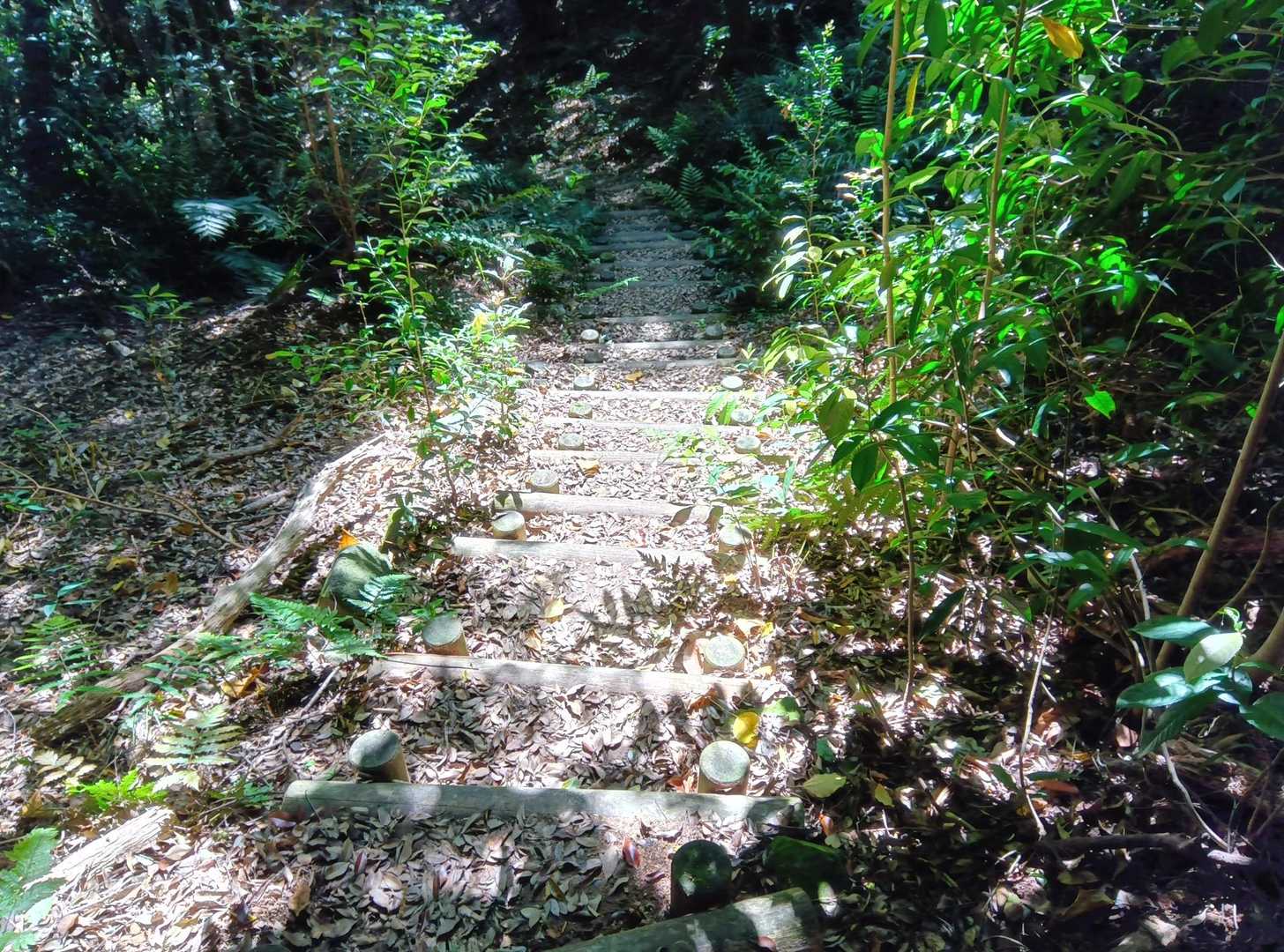 七ッ岳 周回コースの写真