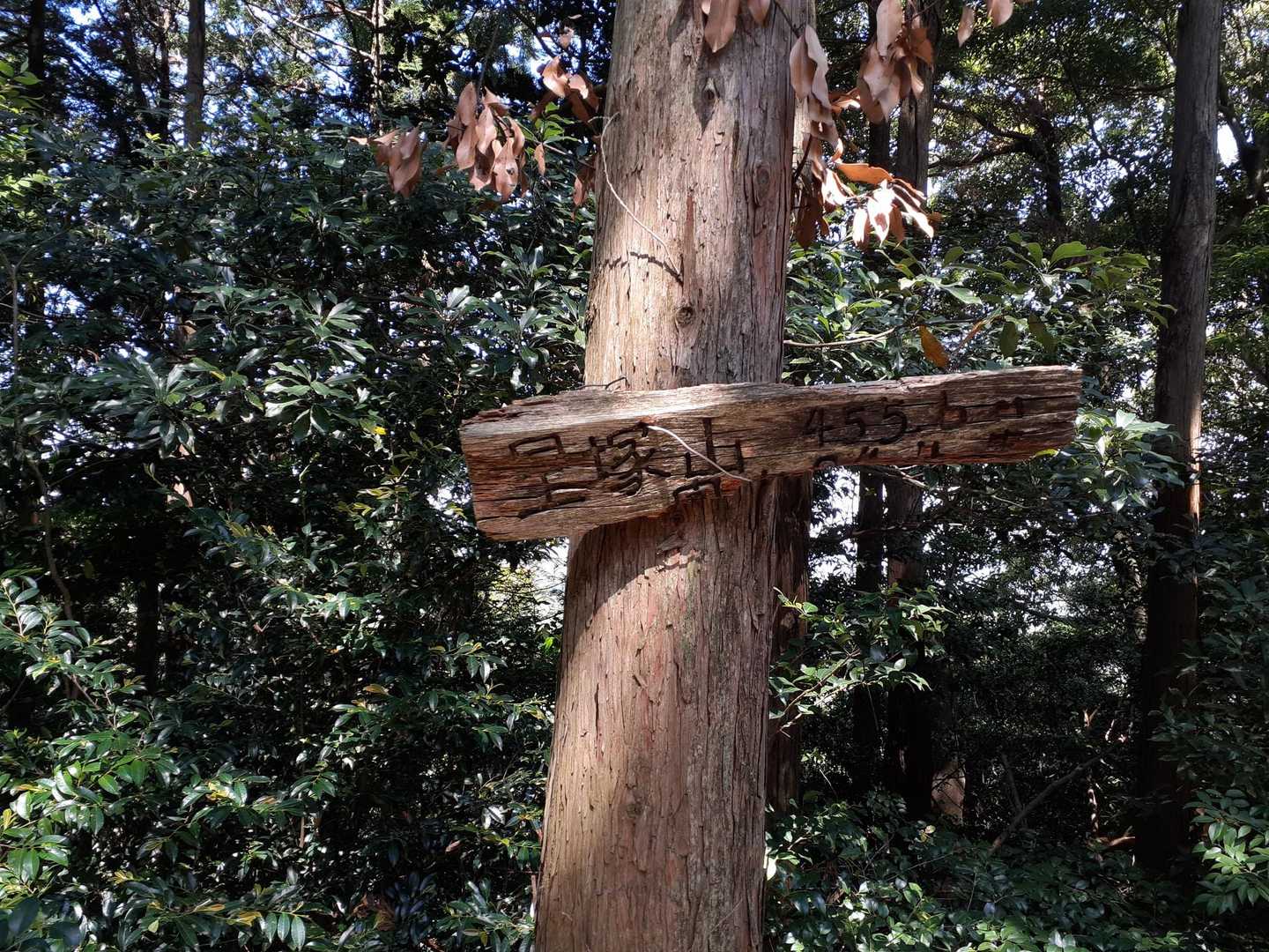 星塚山 往復コースの写真