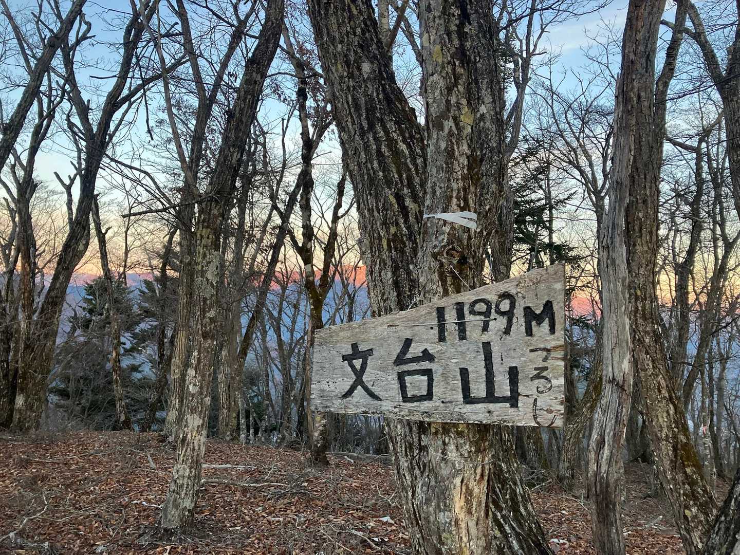 文台山 往復コースの写真