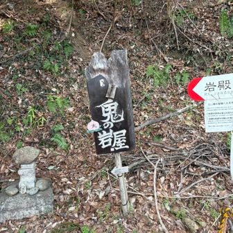 強瀬コースでは無い登山口から