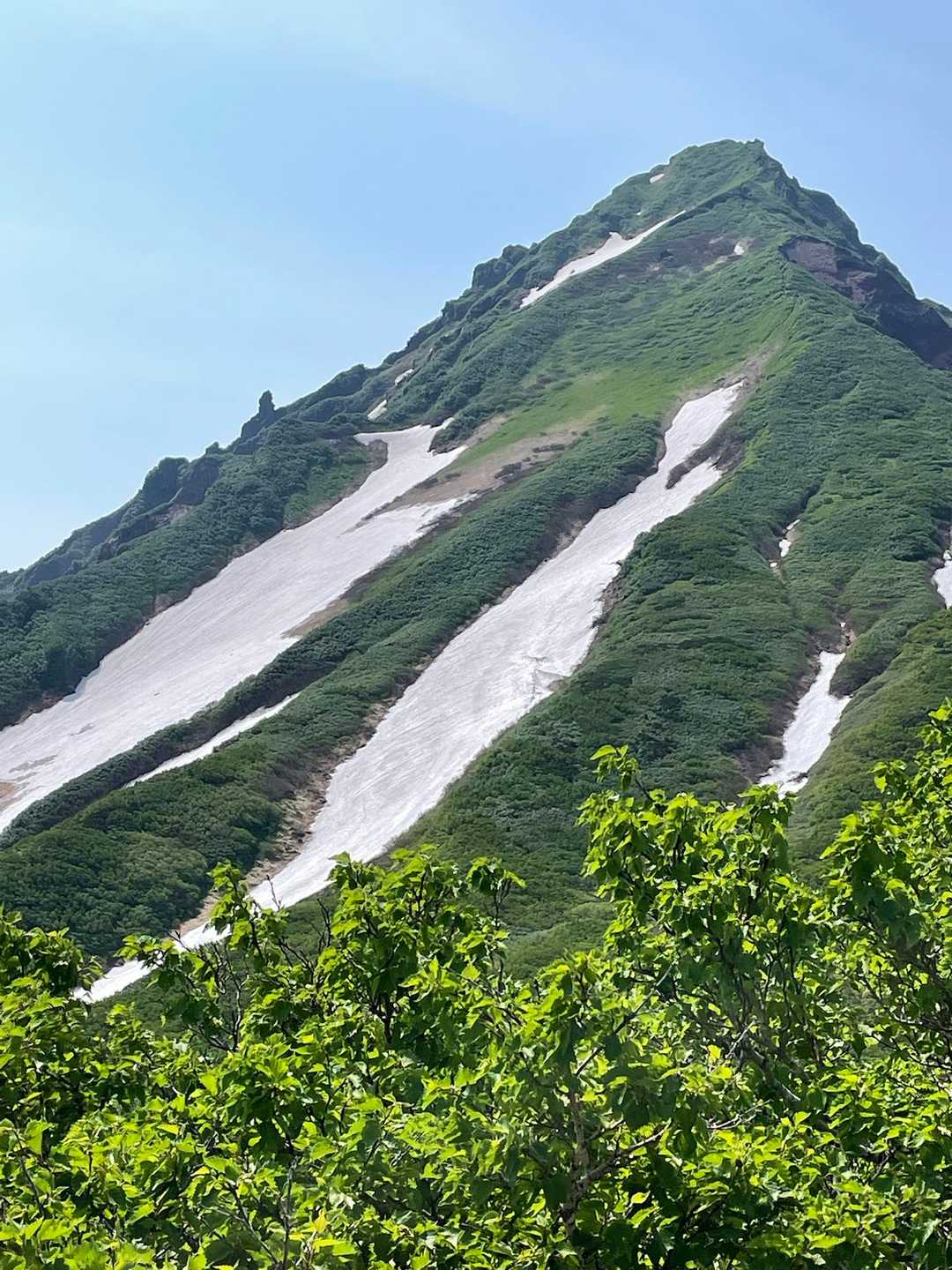 利尻北麓野営場登山口-長官山 往復コースの写真