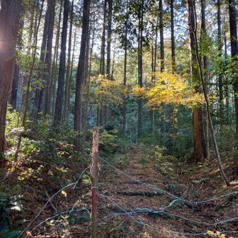 今日は山路🅿️からスタート！
久しぶりの鉄塔ルートに入ります。