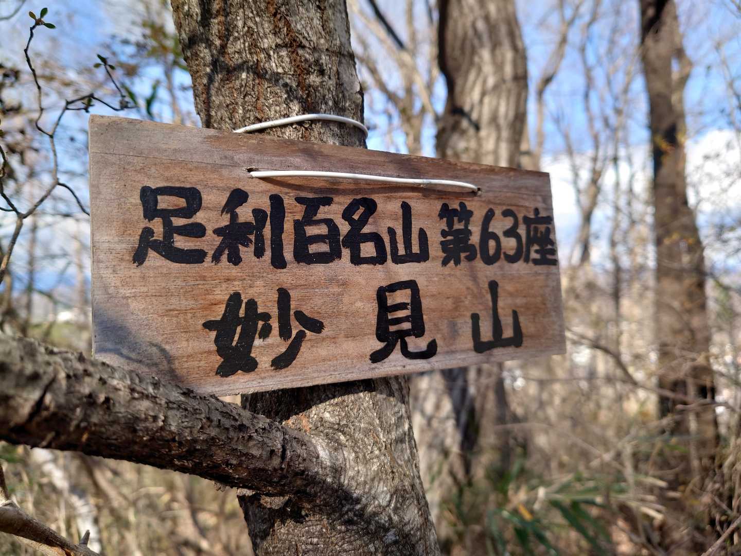 じゃ～ん！
足利百名山　妙見山