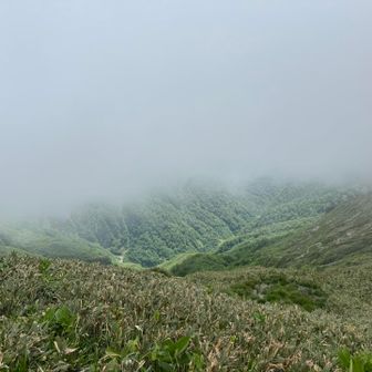 少しでも見えると嬉しい‼︎