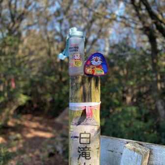 さんちょでランチタイム

大好きなトニー・ザ・タイガー
アイテム持ってるだけでテンション上がる(٩Üو)↑