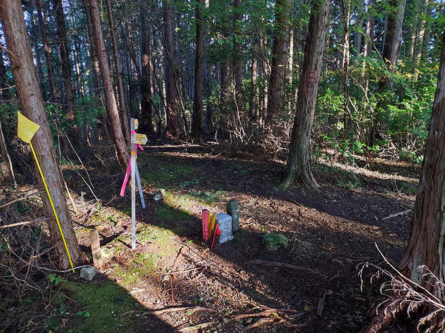 軒山到着、山頂の眺望はない