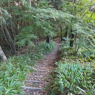 コカリナも吹いたし🎵
ゆっくりできた〜
か〜えろっと🚶‍♂️