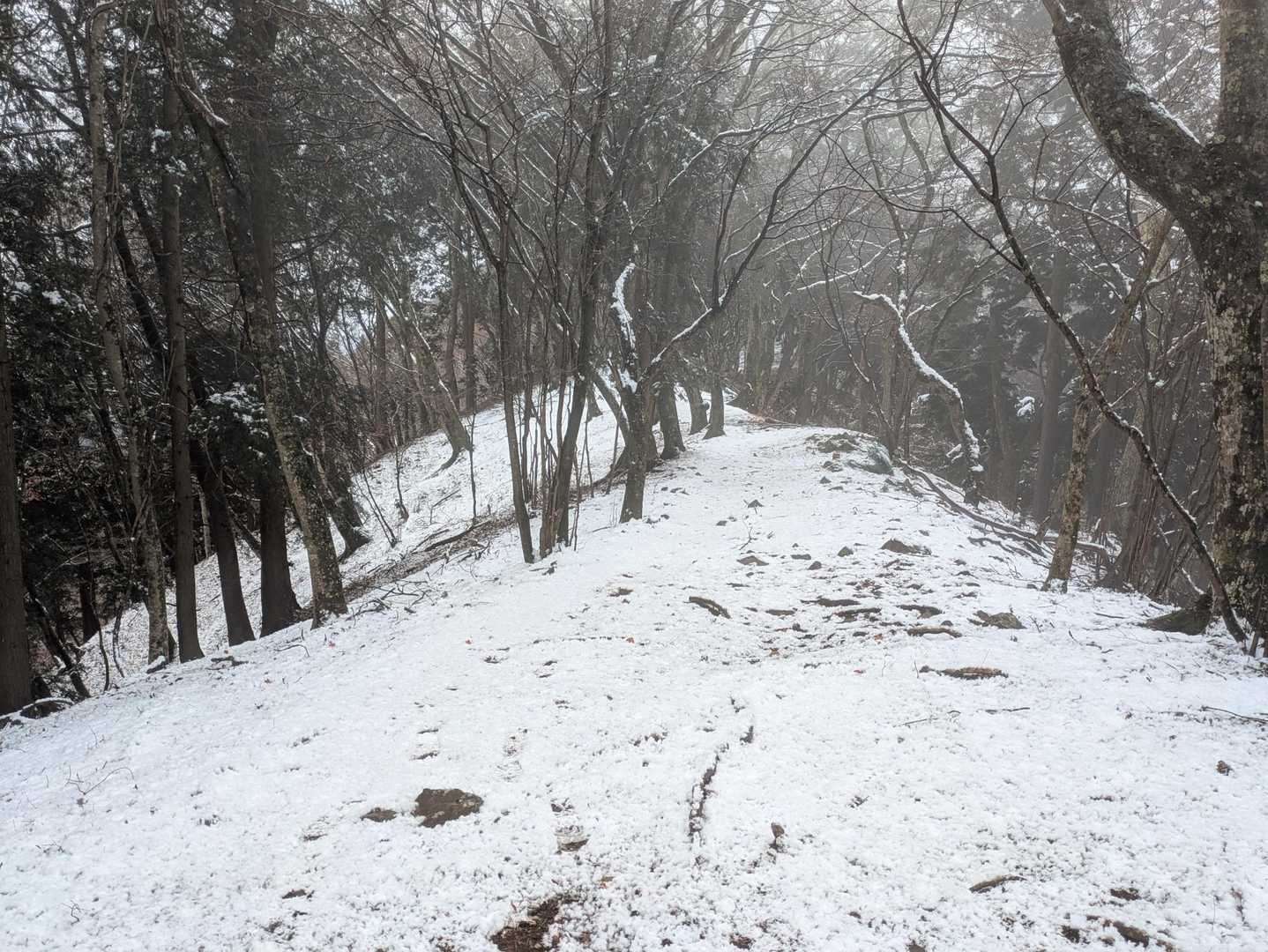 この先雪は積もってましたが、チェンスパ要らない感じでした