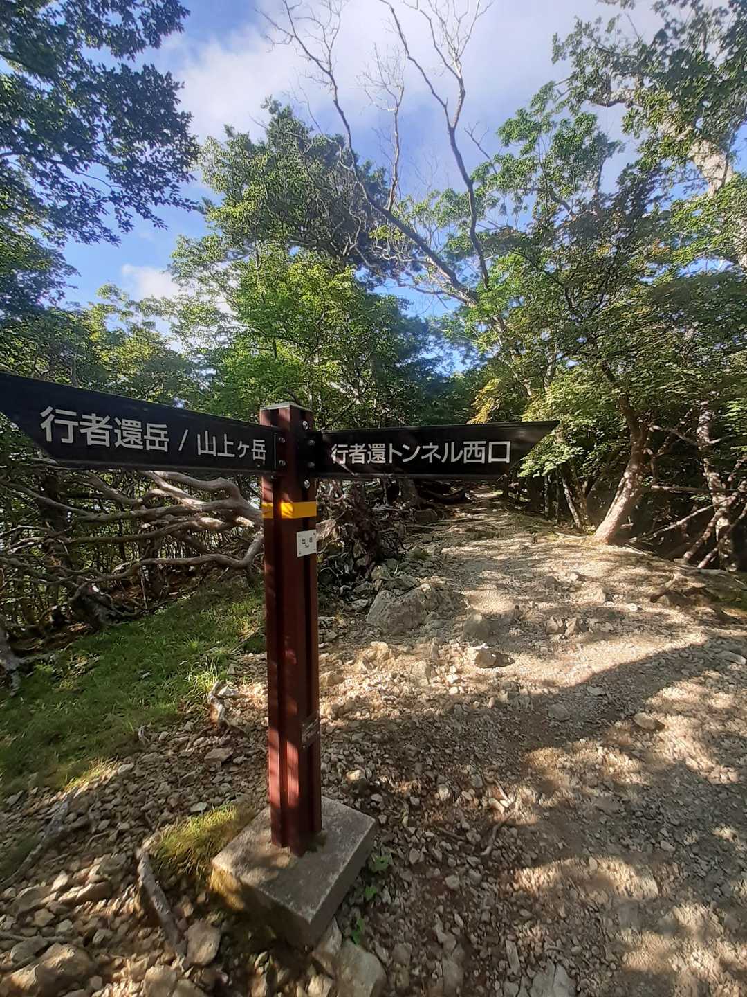 とりあえず、おくがけみちに 上がりました😃暑い😵💦