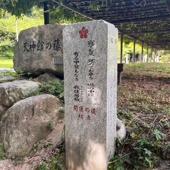 開運の道起点