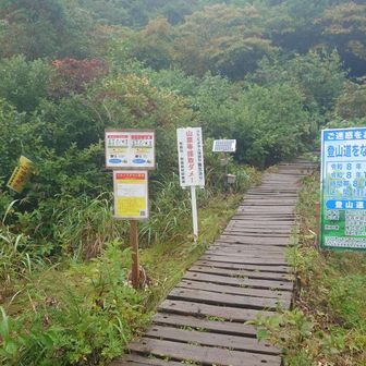 雨は小降り