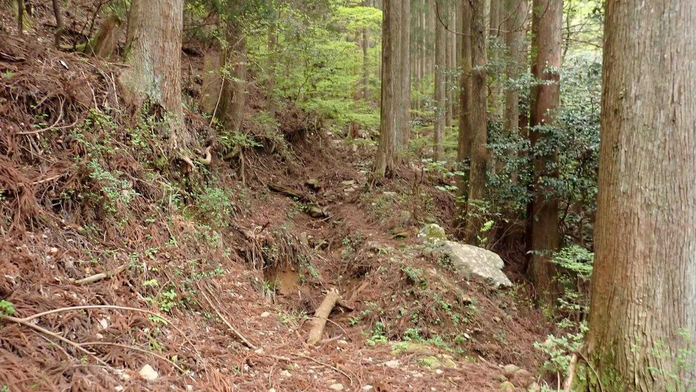 ここから山道。
大雨で路面が荒れている。
